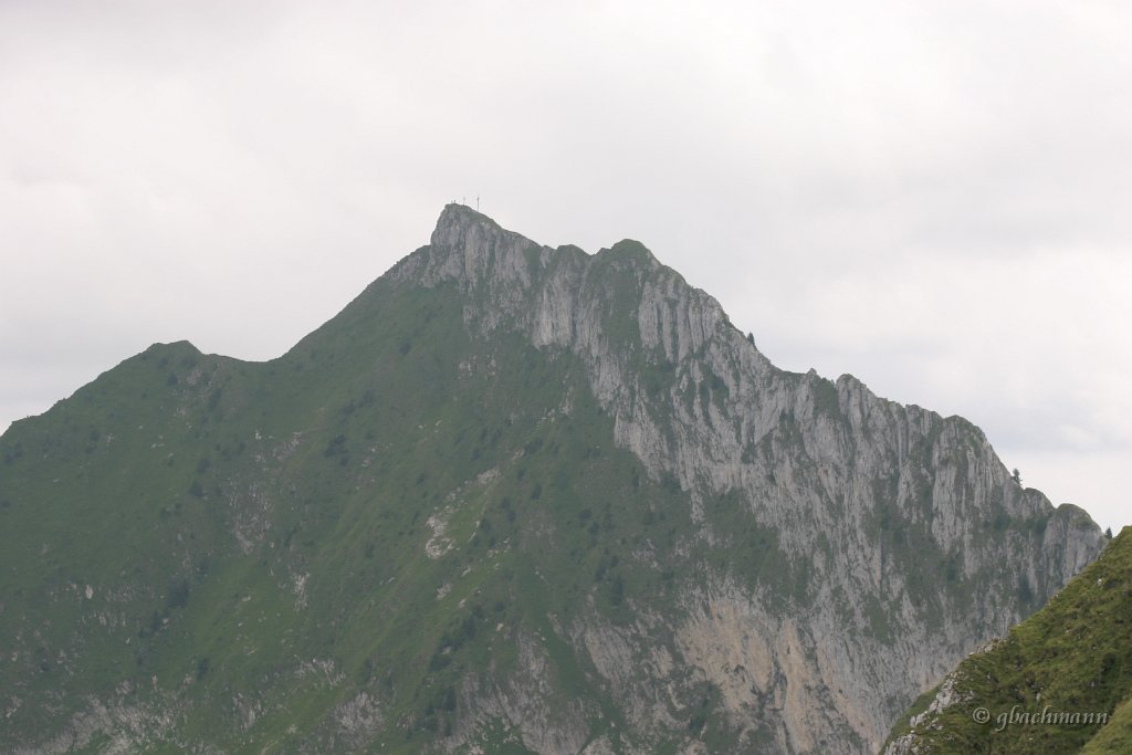 20050723_069